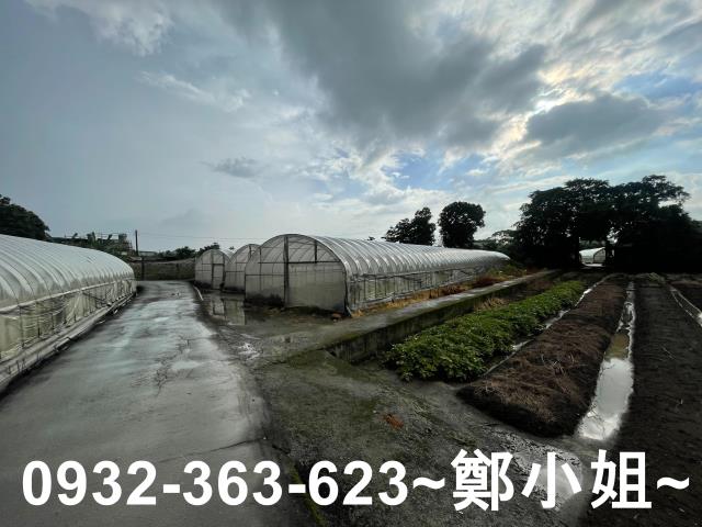桃園八德農地-8