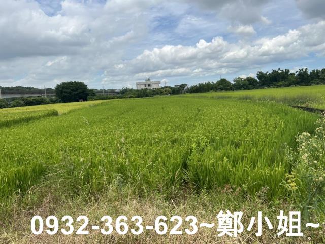 桃園蘆竹農地-13