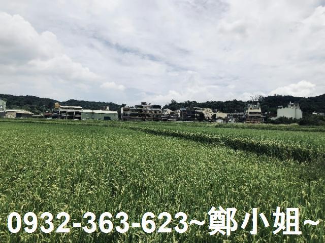 桃園蘆竹農地-7