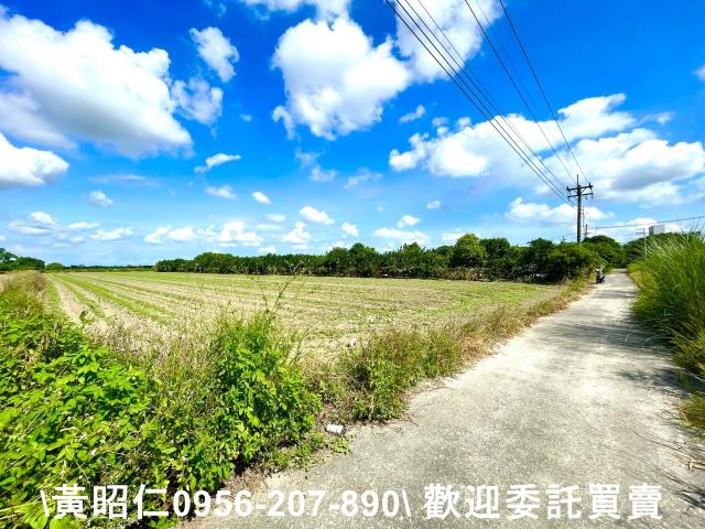 台南善化農地-1