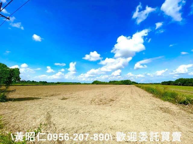 台南善化農地-3
