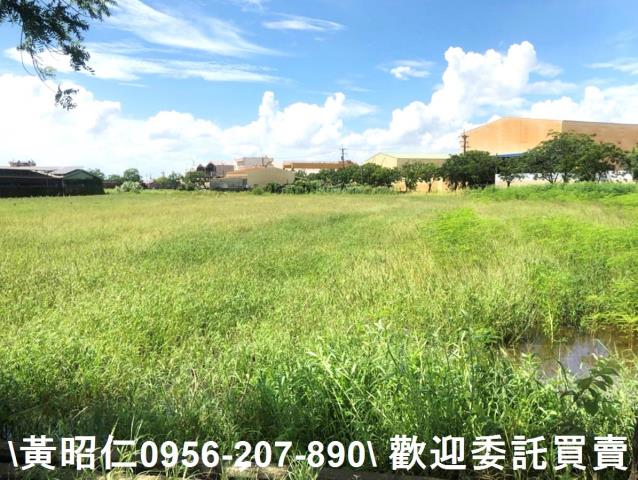 台南農地-3