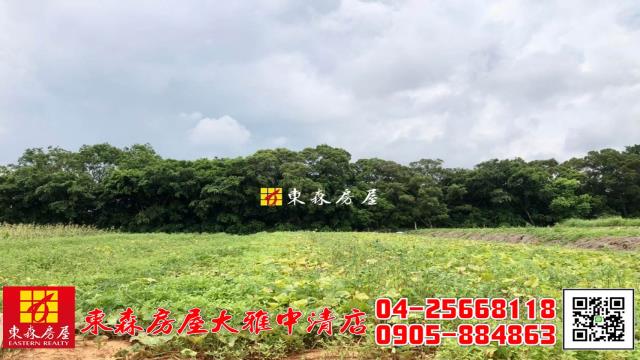 大雅農地-1