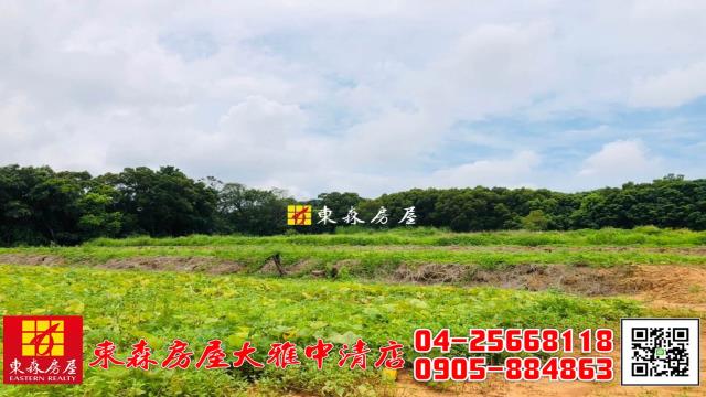 大雅農地-2