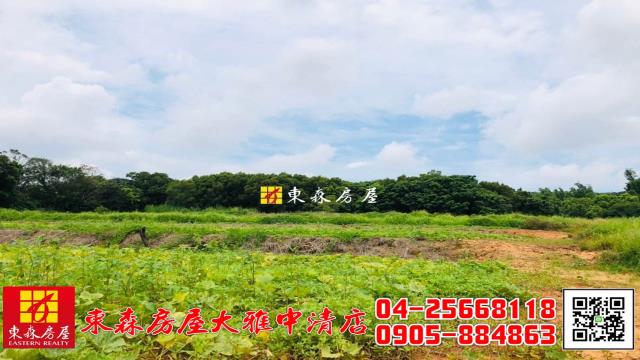大雅農地-4