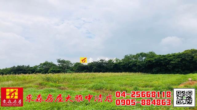 大雅農地-5