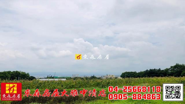 大雅農地-6