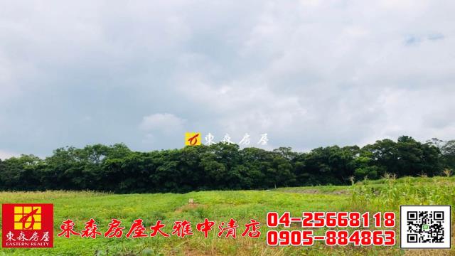 大雅農地-7