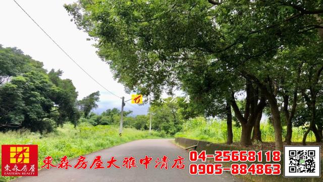 大雅農地-9