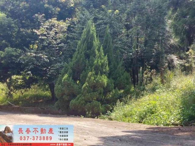 苗栗獅潭農地-3