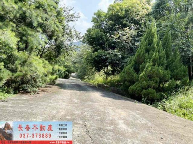 苗栗獅潭農地-4