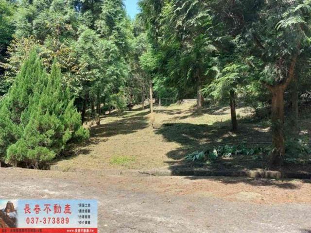 苗栗獅潭農地-5