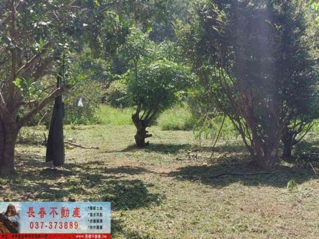 苗栗獅潭農地-9