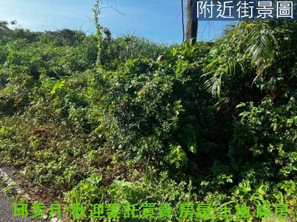 新北三芝農地-6