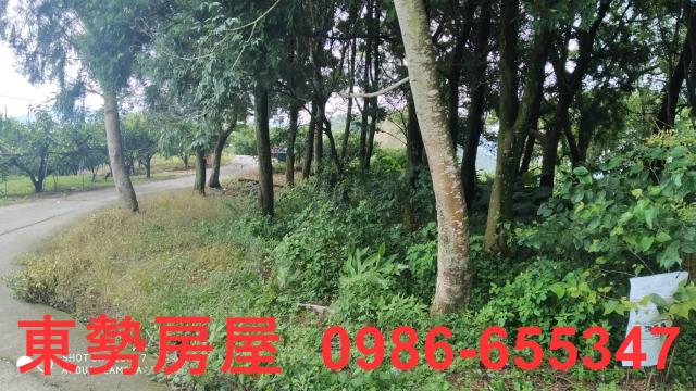 台中東勢農地-1