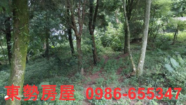 台中東勢農地-2