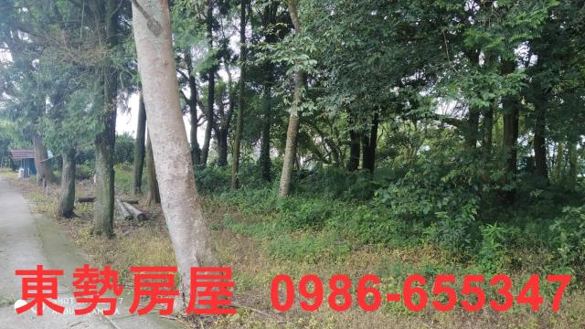 台中東勢農地-3