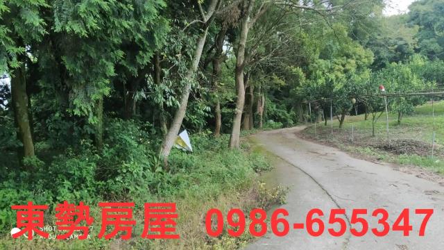 台中東勢農地-4