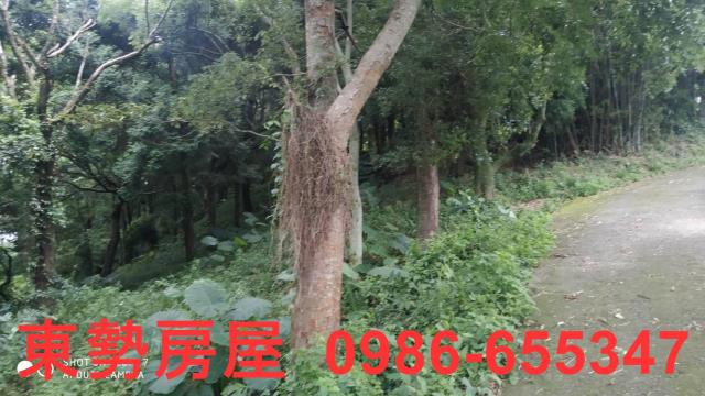 台中東勢農地-5