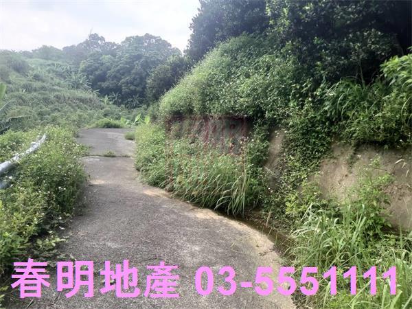 峨眉農地-6