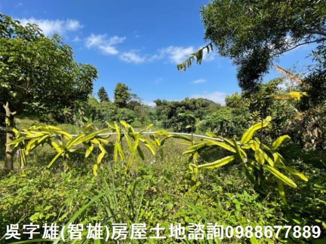 台北士林農地-12