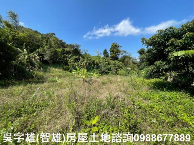 台北士林農地-14
