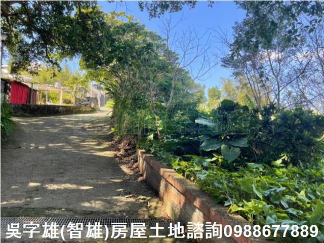 台北士林農地-6
