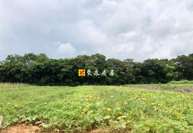 大雅農地-1