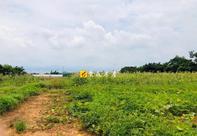 大雅農地-2