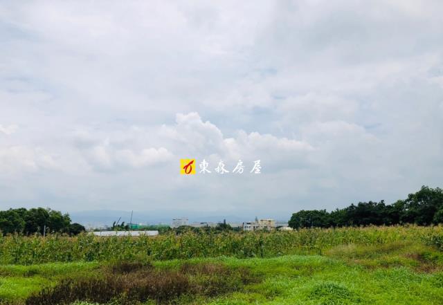 大雅農地-3