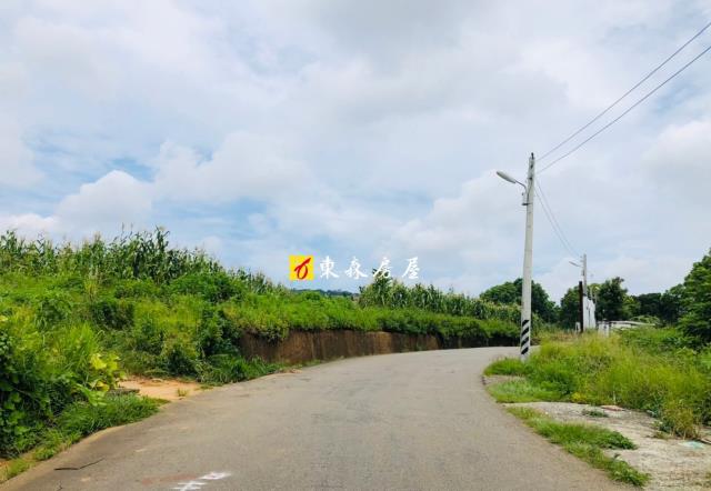 大雅農地-5