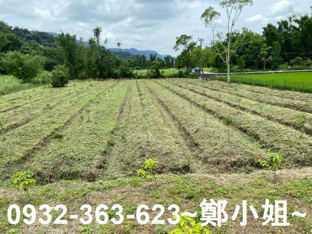 桃園大溪農地-1