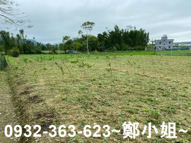 桃園大溪農地-6