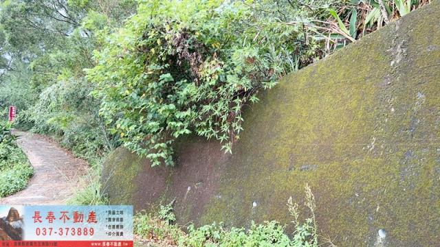 頭屋休閒地-5