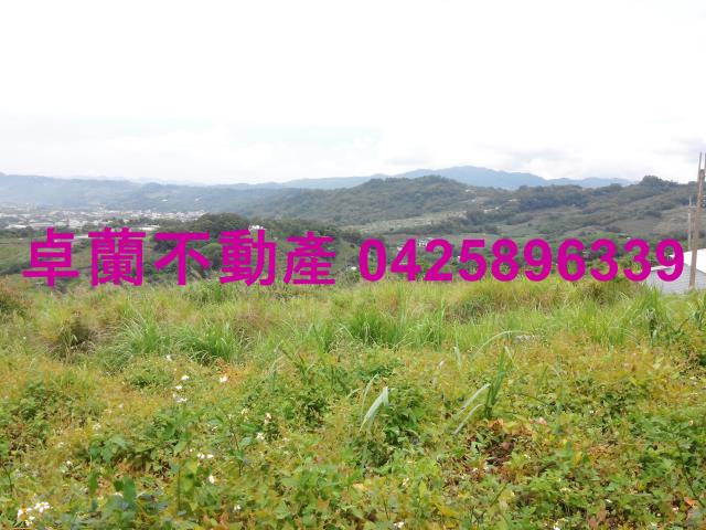 卓蘭農地-3