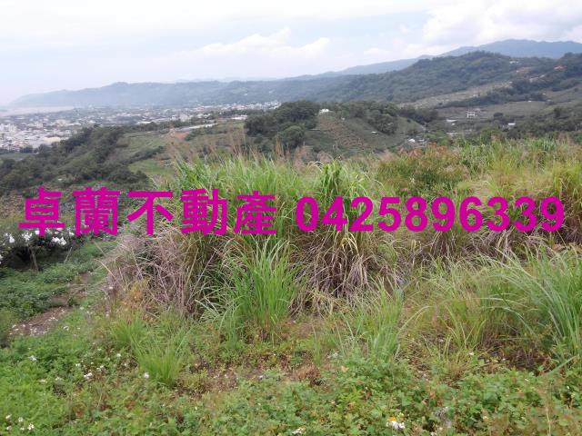 卓蘭農地-5