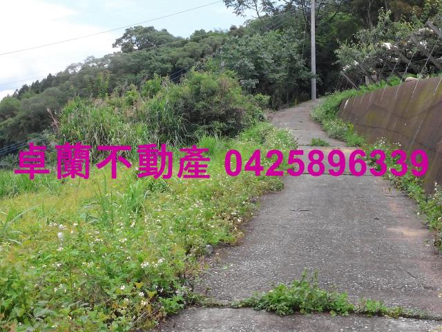 卓蘭農地-7