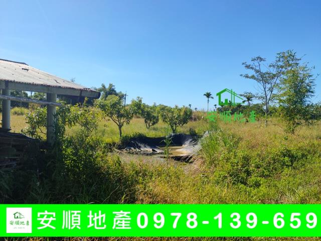 成功農地-9