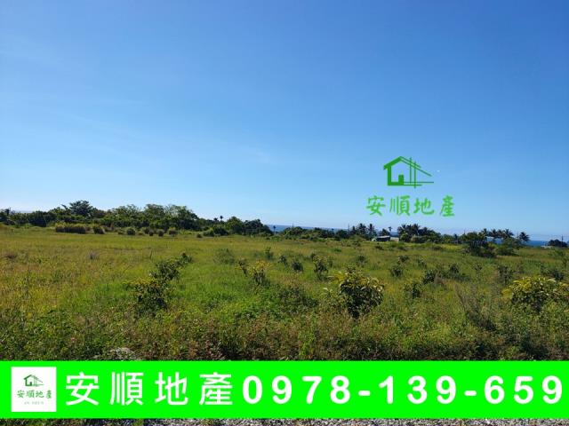 成功農地-2