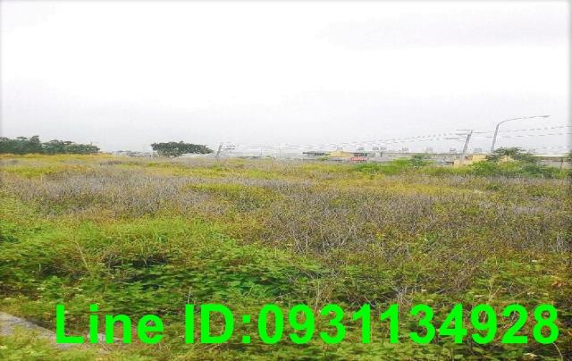 外埔農地-2