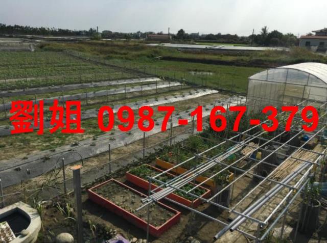 高雄美濃農地-1