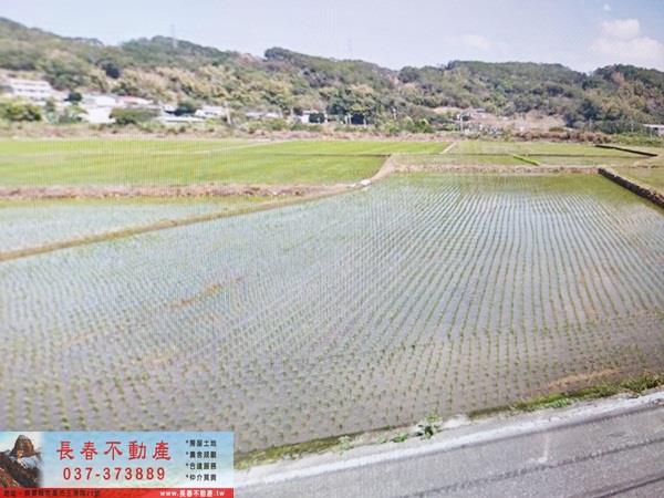苗栗西湖農地-1