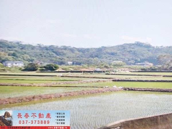 苗栗西湖農地-2
