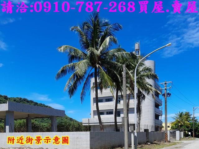 台東大武建地-8
