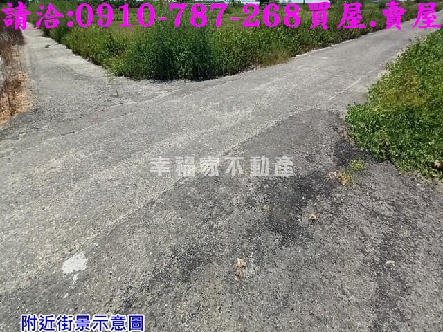 台南農地-5