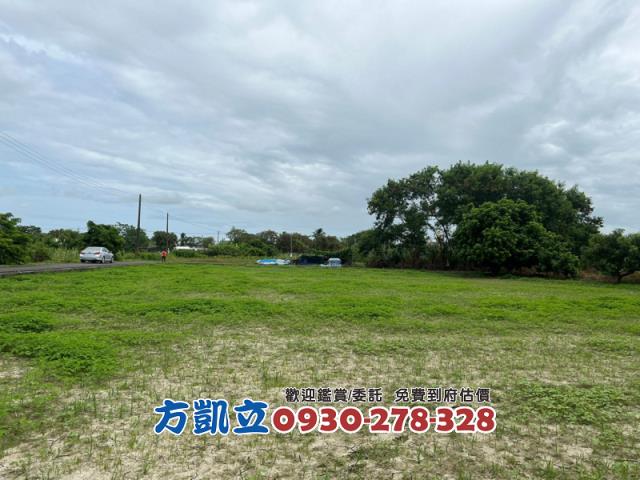 台南鹽水農地-8