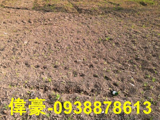 高雄梓官工業地-1