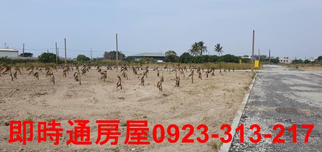 高雄大寮農地-1