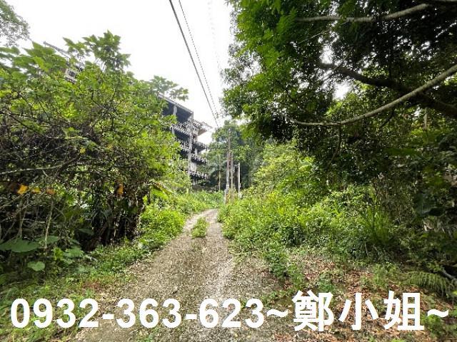 大溪農地-11