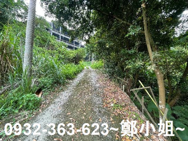 大溪農地-12